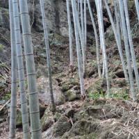 /photo/646506/我的相片/psb (3)_1_1_small.jpg